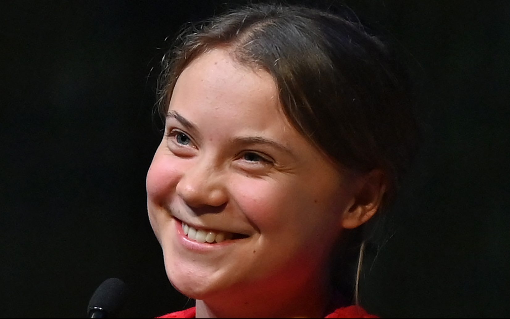 Greta Thunberg Claps Back At Andrew Tate On Twitter