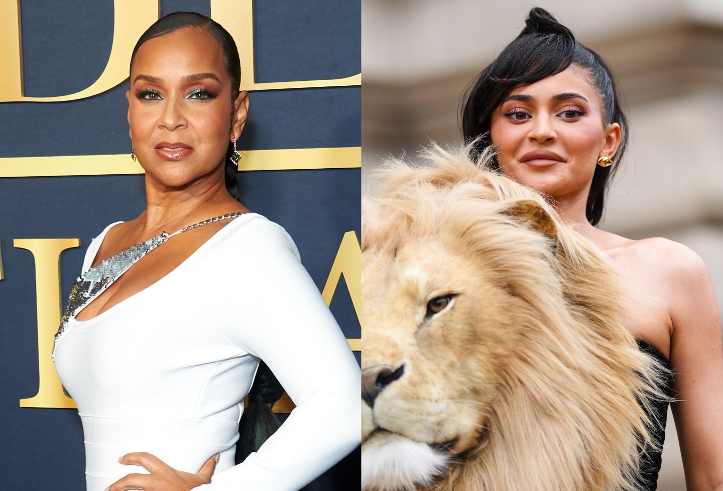 LisaRaye McCoy Accuses Kylie Jenner Of Copying Her Look With Lion’s Head Gown