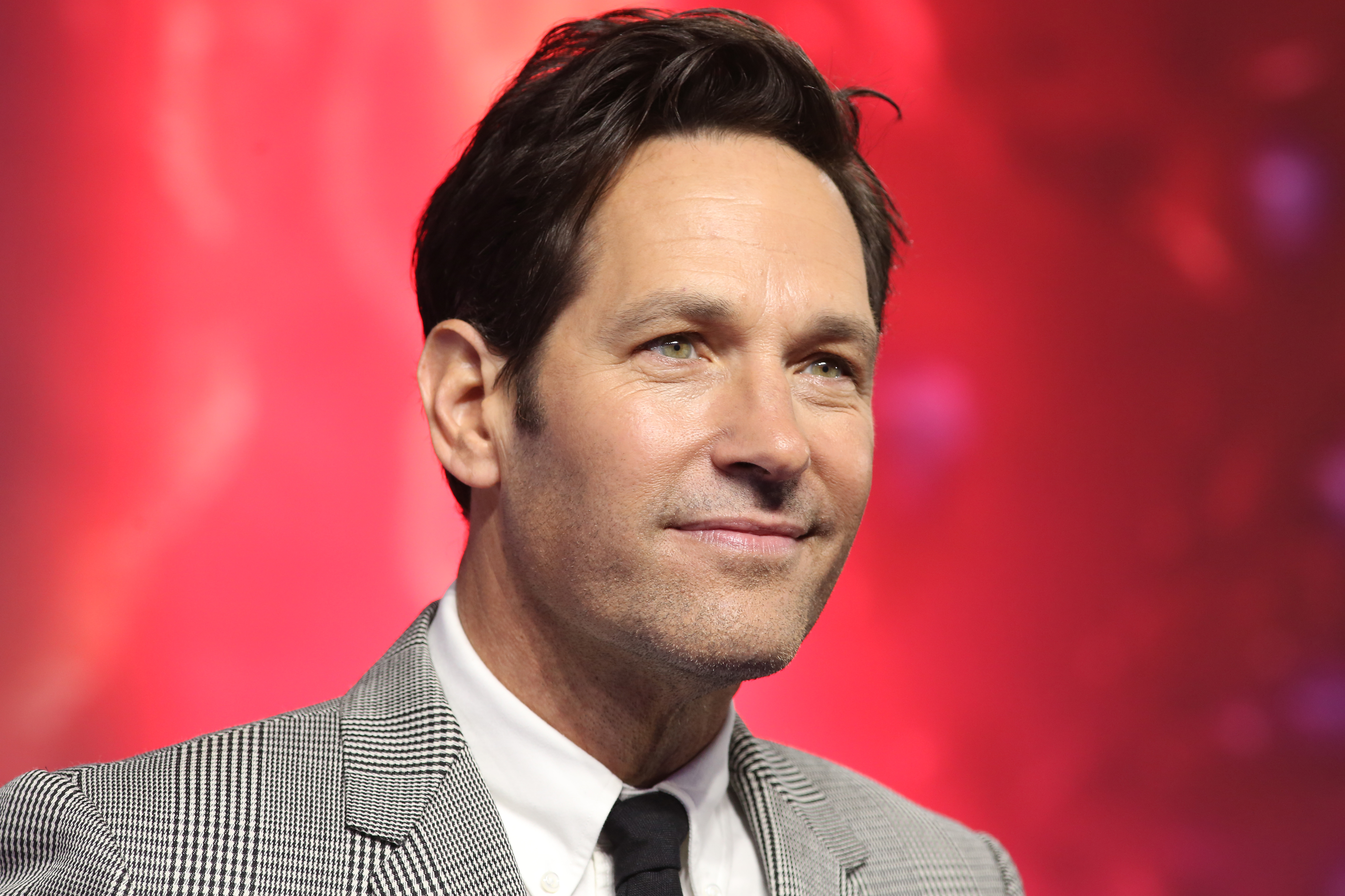 “Ant-Man and the Wasp: Quantumania” Box Office Expectations Revealed