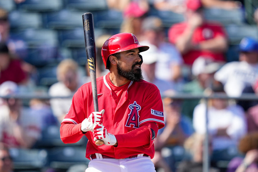 Anthony Rendon could be in serious trouble after fan altercation