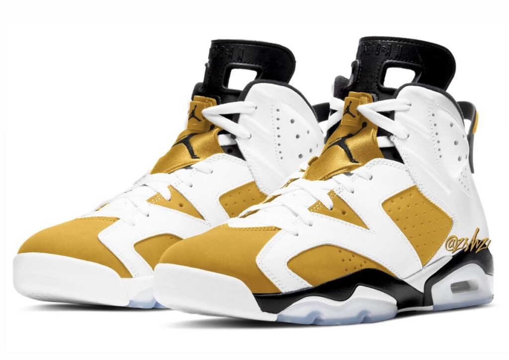 Air Jordan 6