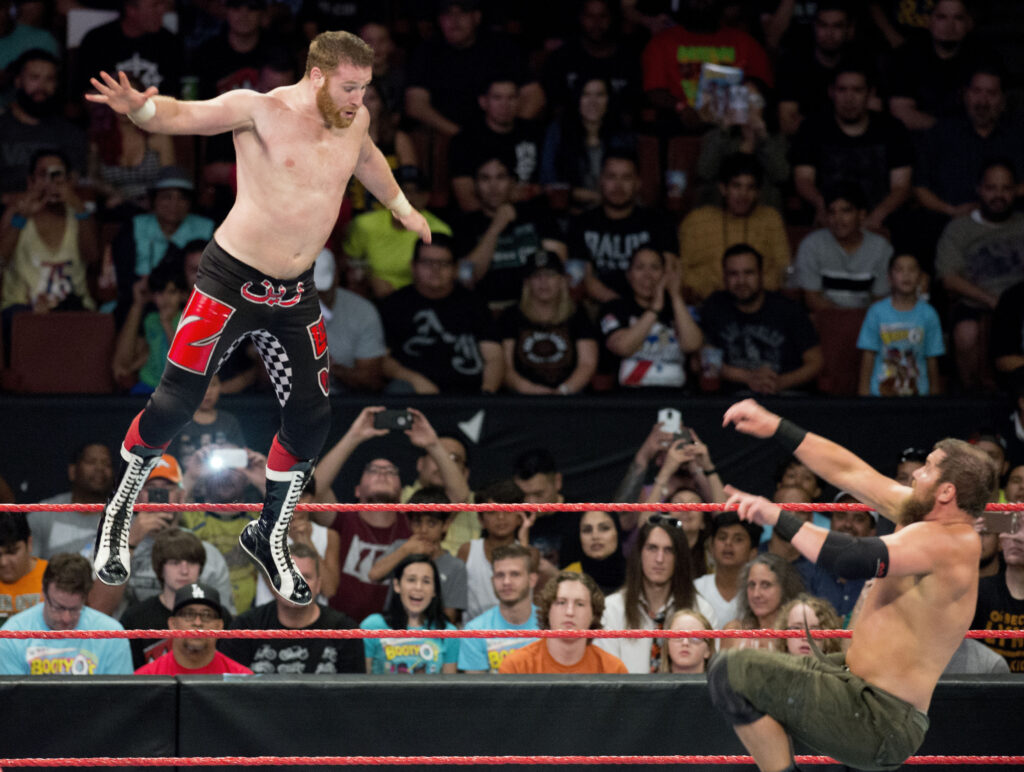 Sami zayn