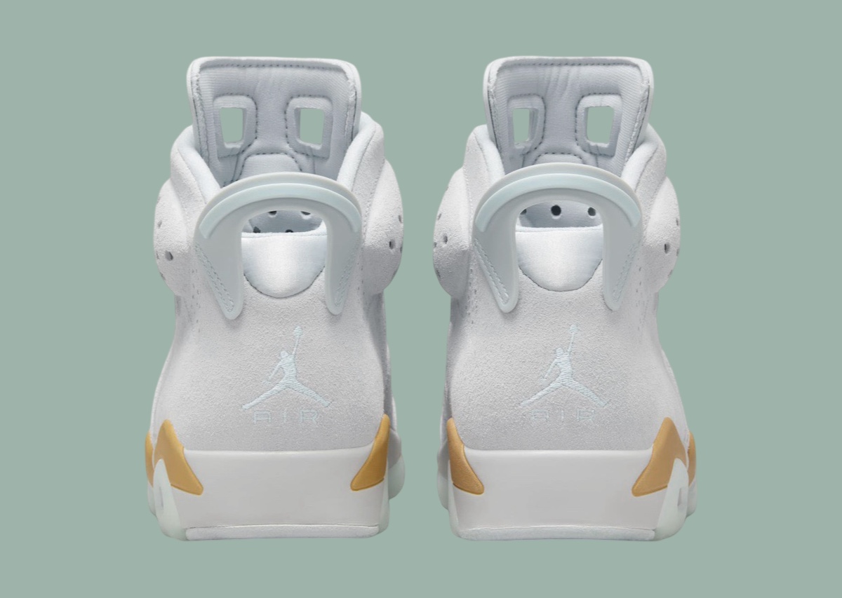 Air Jordan 6