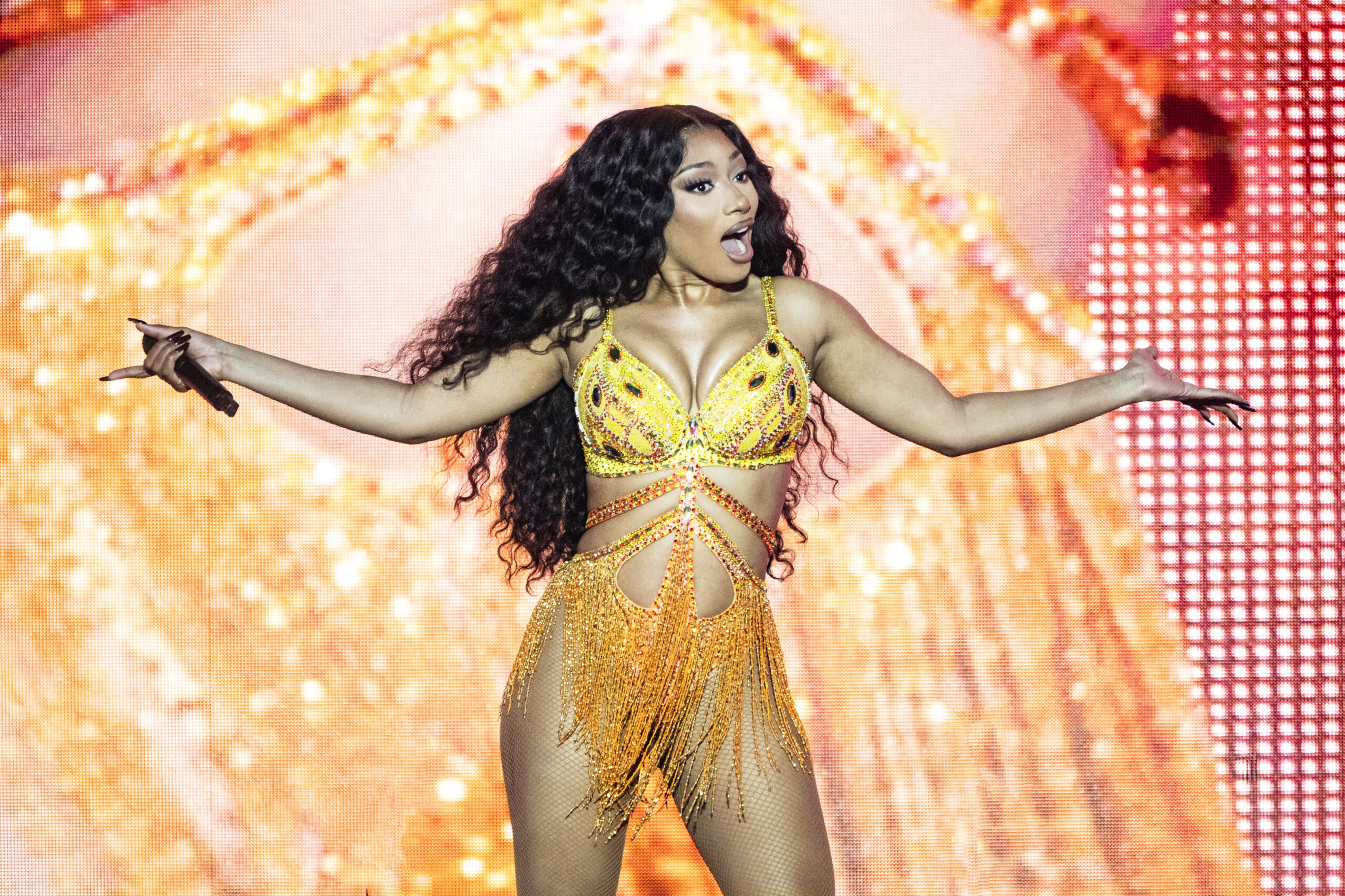 Megan Thee Stallion Reveals If She Wants More Support From Black Men