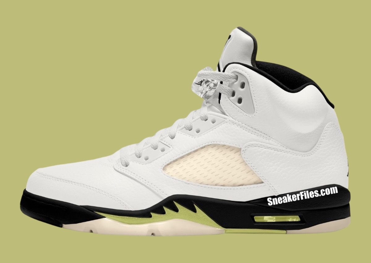 Air Jordan 5