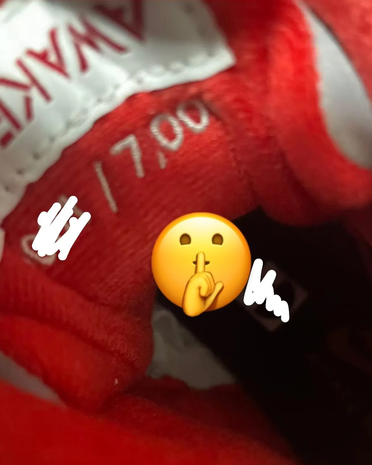 Awake NY x Air Jordan 5
