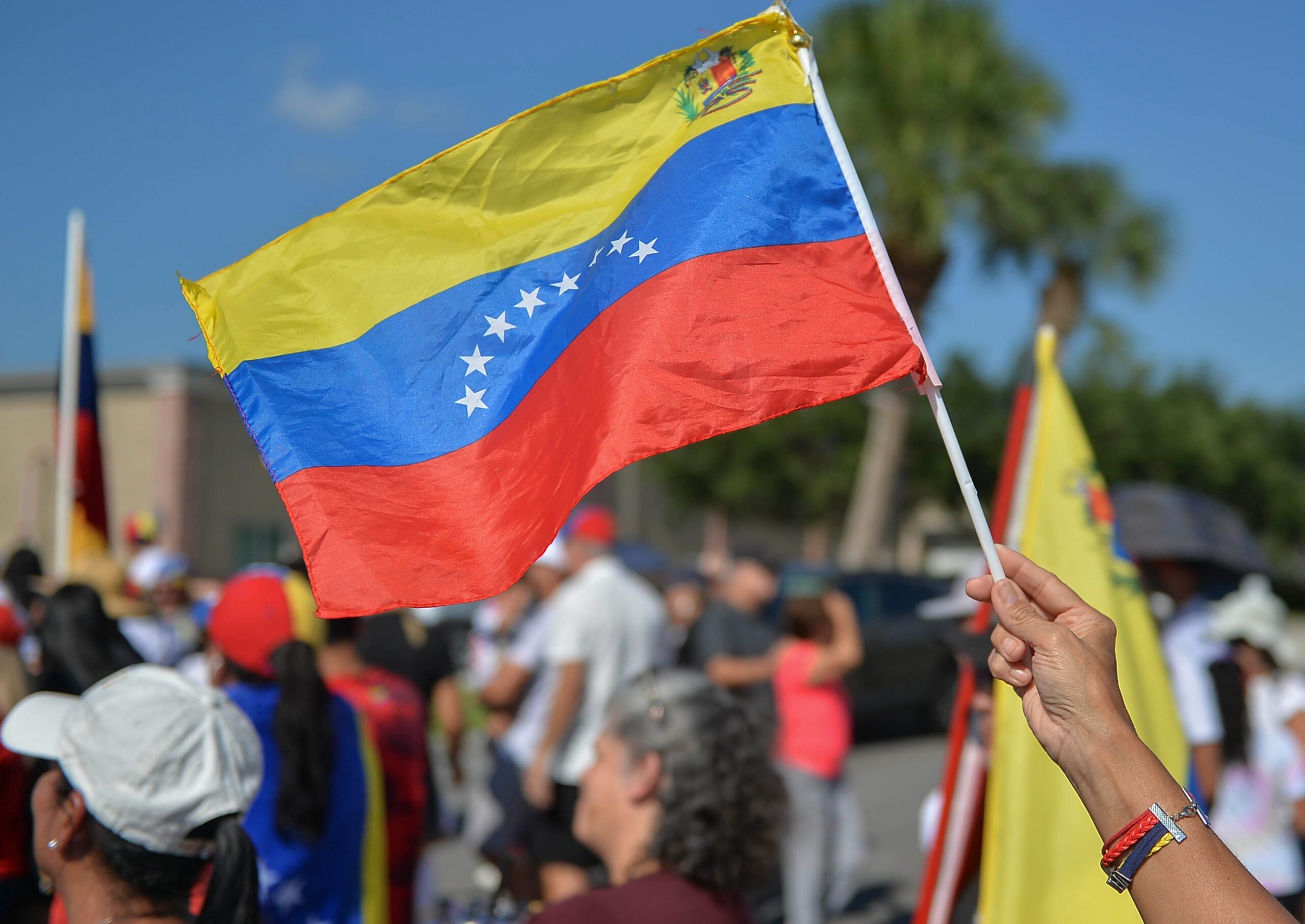 Venezuelan flag