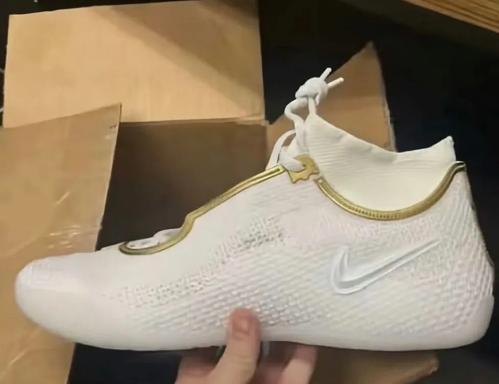 lebron 24