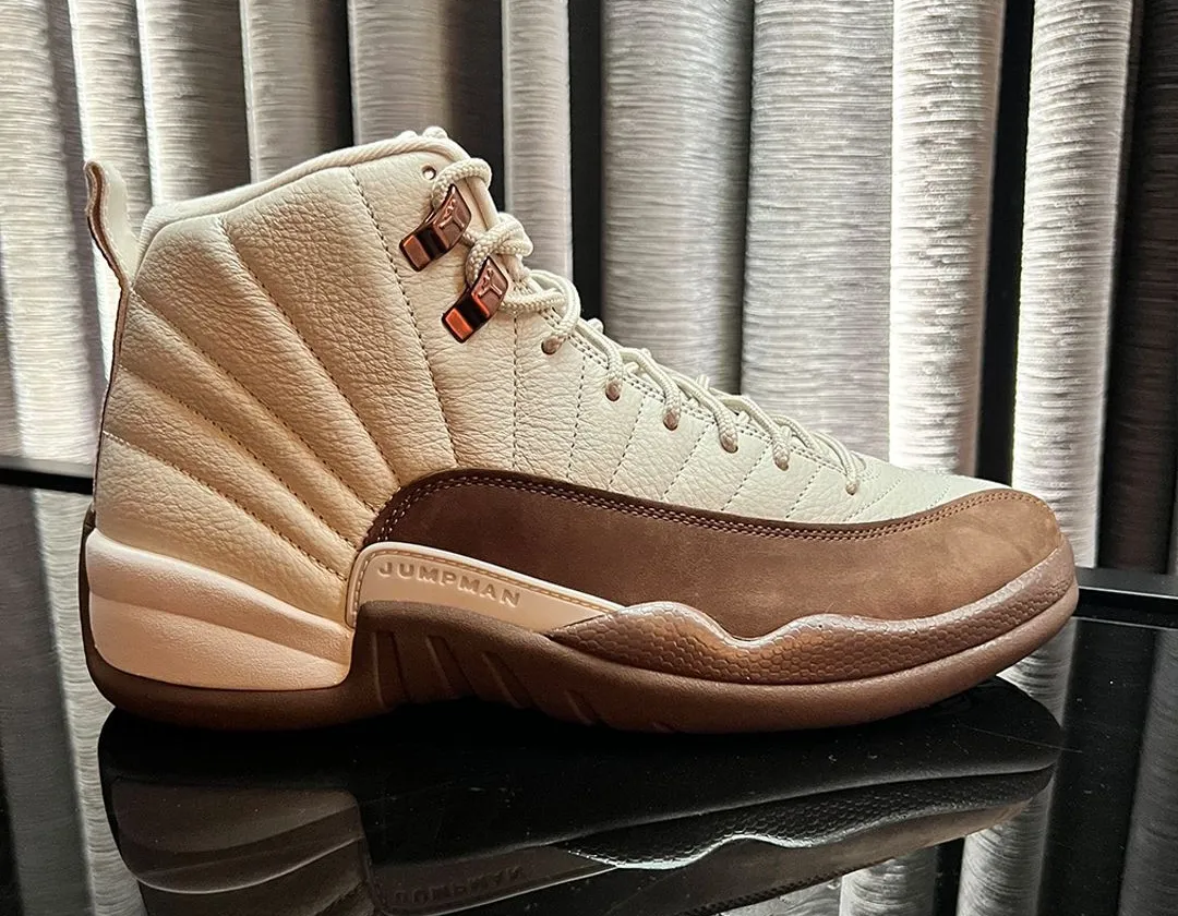 air jordan 12