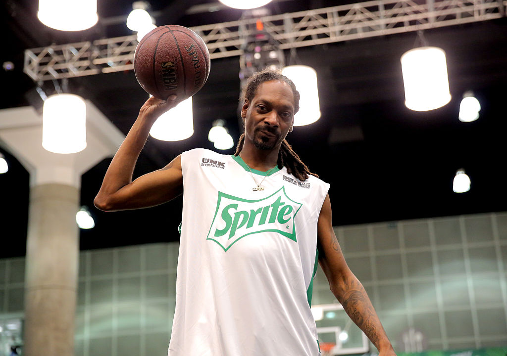 Snoop Dogg visual data 8