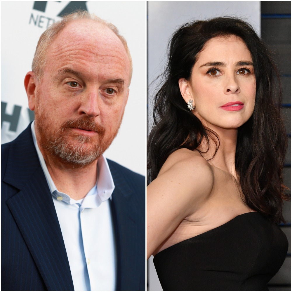 Sarah Silverman Slammed For Defending Predator Louis C K