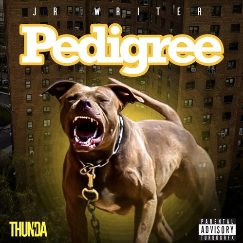 JR Writer Goes In On His Haters On “Pedigree”