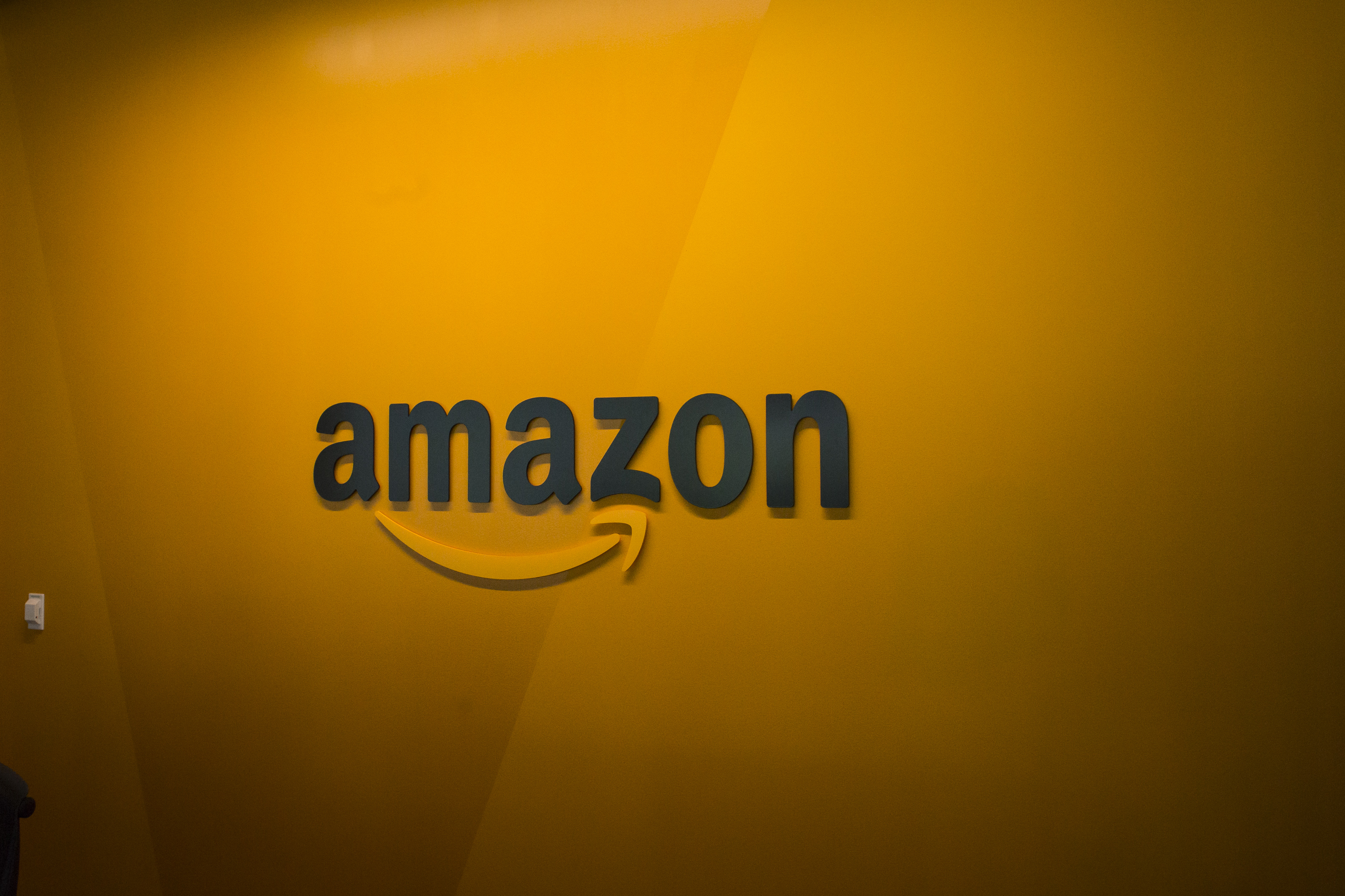 Amazon Testing Out System That Allows Customers To Pay By Scanning Their Hands