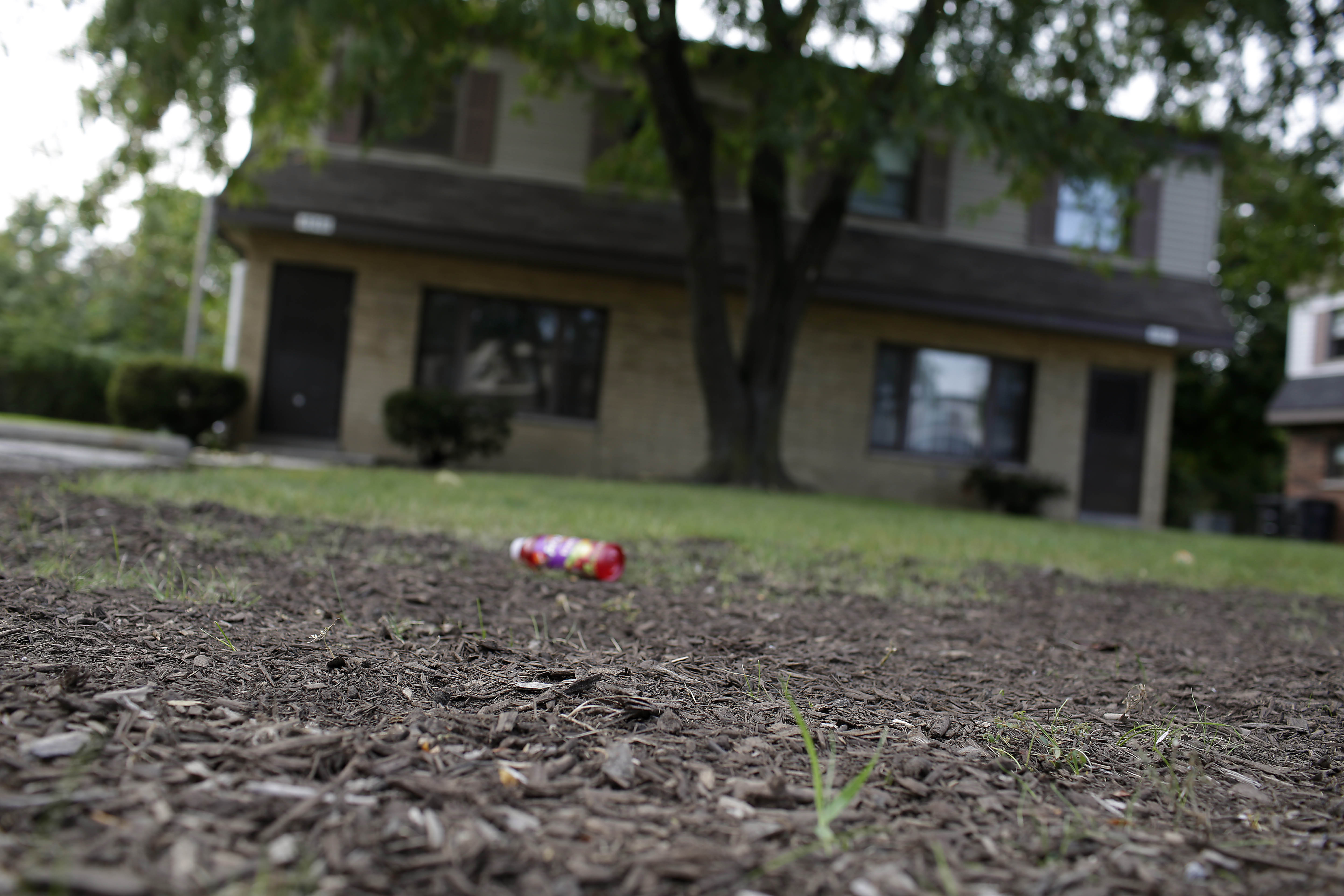 Washington Becomes First State To Sign Off On Composting Human Bodies 