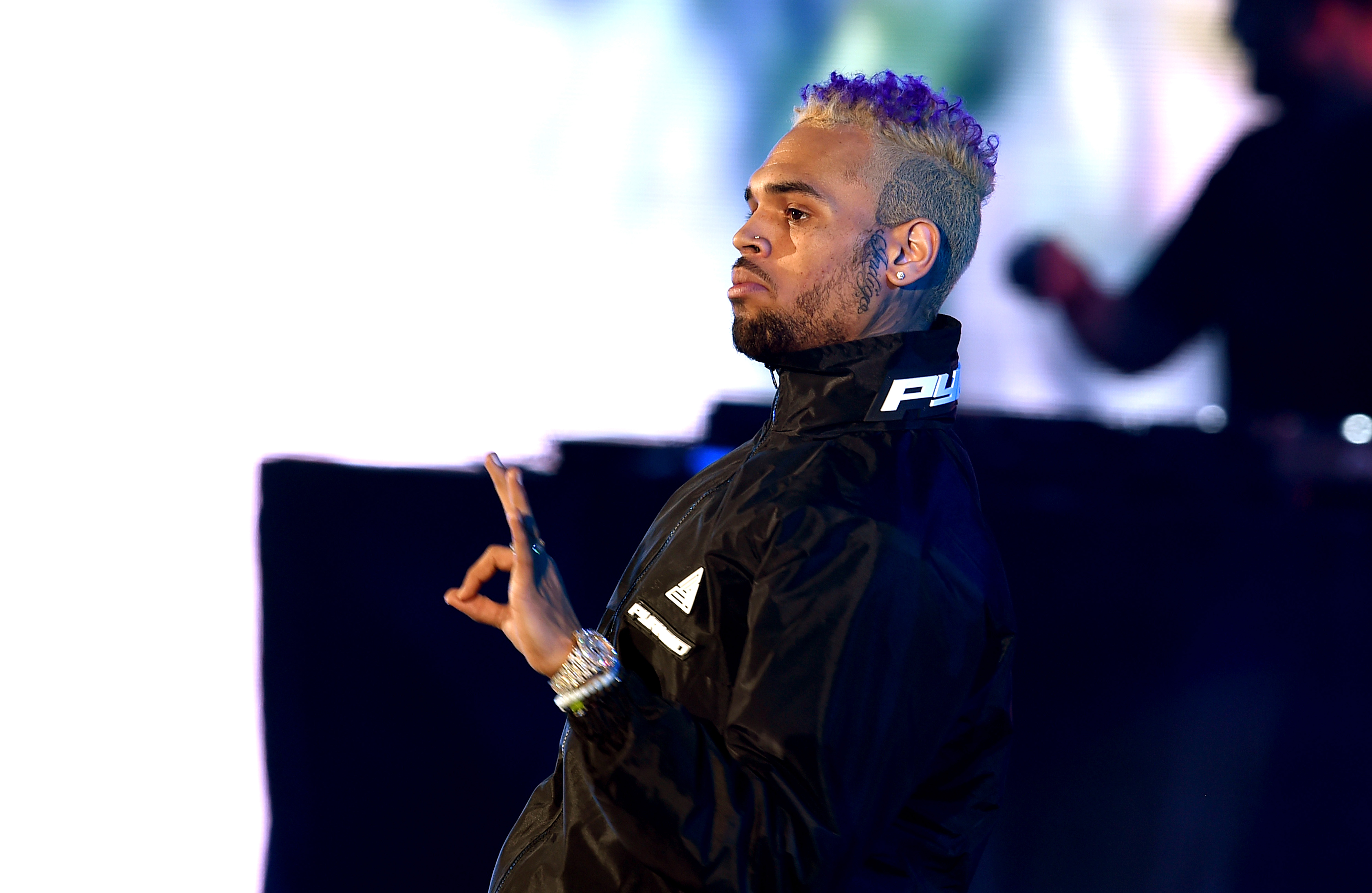 Chris Brown Paints Alleged Baby Mama’s Face On His Tour Bus