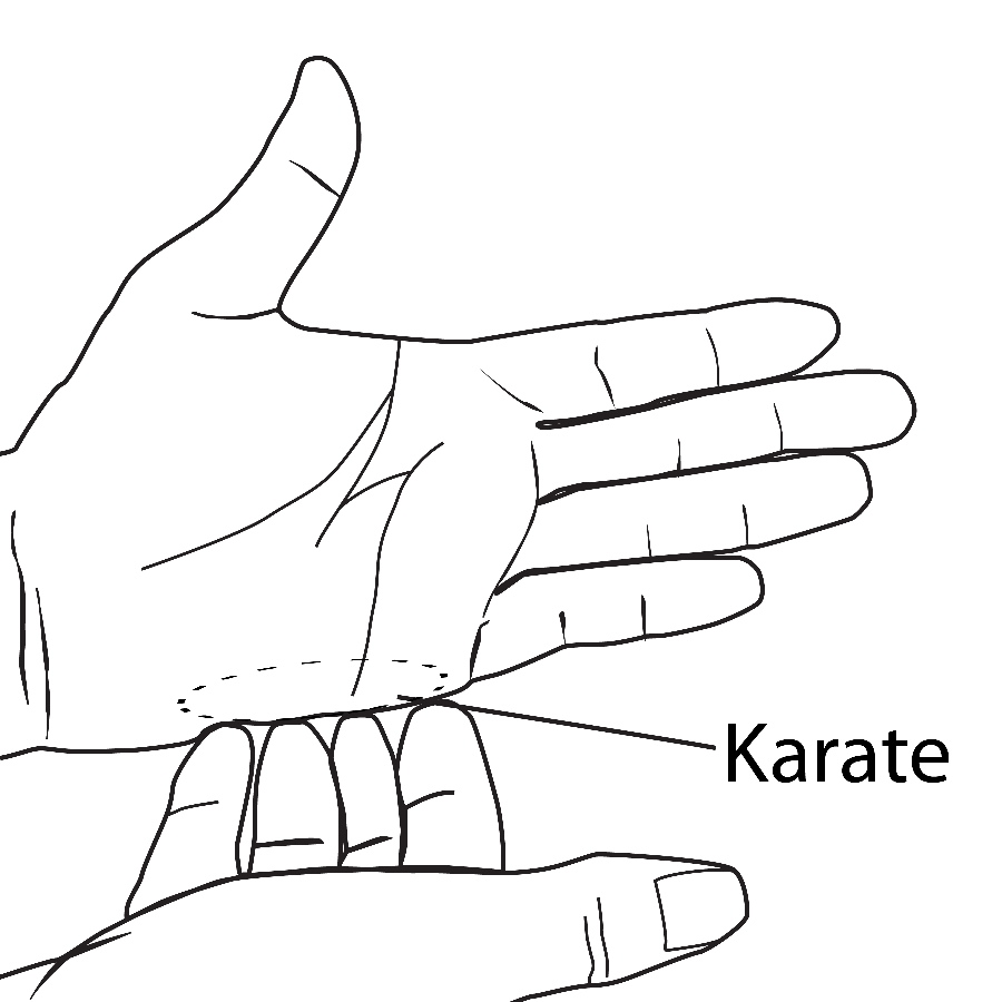 karate chop remix artwork